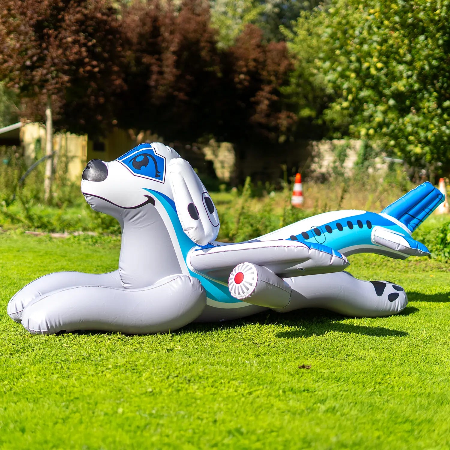 PRE-ORDER CLOSED: The Airplane Puppy