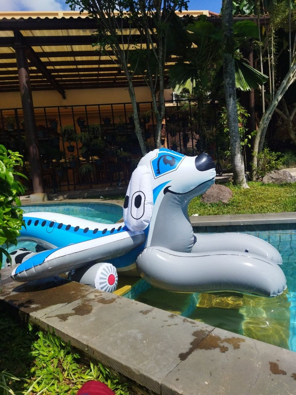 Create to Inflate: The Airplane Puppy