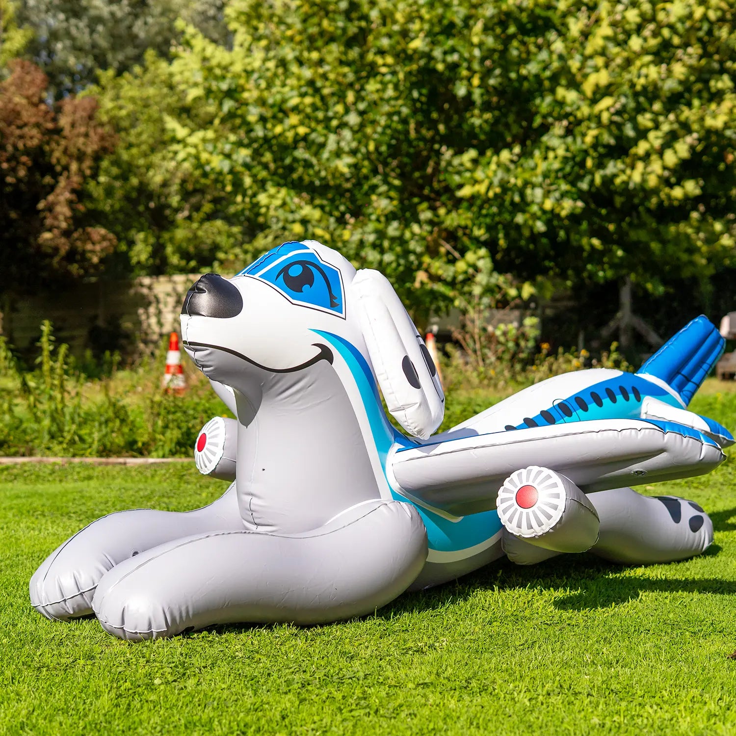 PRE-ORDER CLOSED: The Airplane Puppy