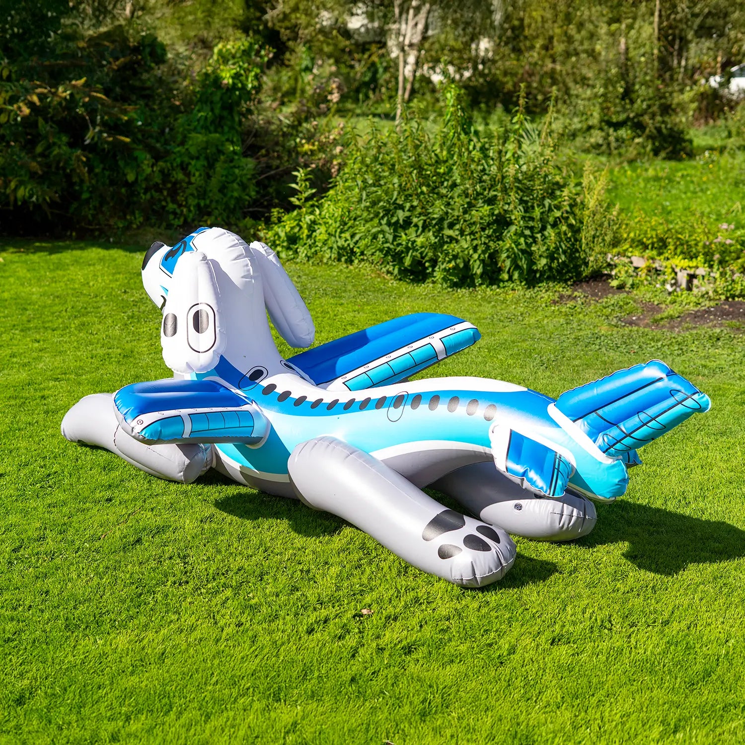 PRE-ORDER CLOSED: The Airplane Puppy