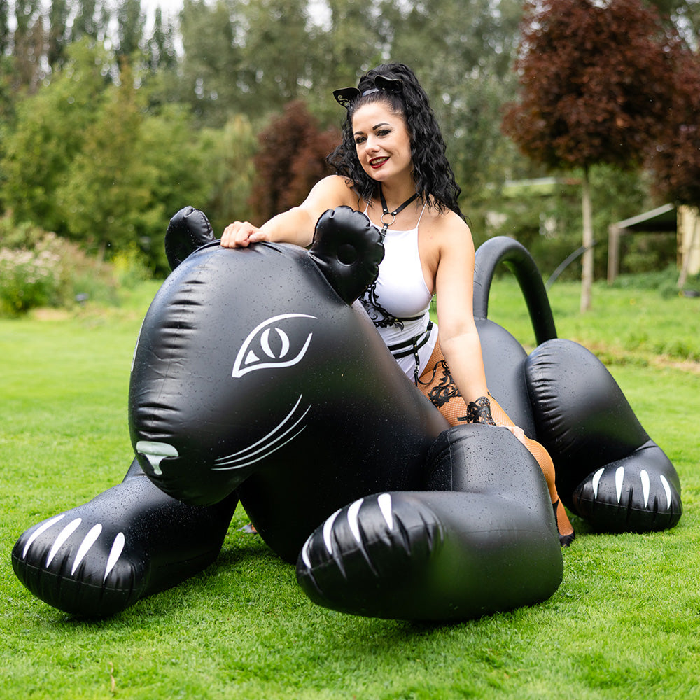 Create to Inflate: Black Cat with SPH